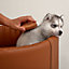 Dog brush, View: Worn, worn, view 1 of 3
