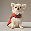 Dog coat, XS and S, View: Worn, worn, view 1 of 1