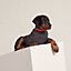 View: Worn, Dog pullover