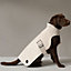 Dog raincoat, M and L, View: Worn, worn, view 2 of 2