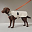 Dog raincoat, M and L, View: Worn, worn, view 1 of 2