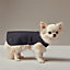 Dog raincoat, XS and S, View: Worn, worn, view 1 of 3