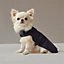 Dog raincoat, XS and S, View: Worn, worn, view 2 of 3