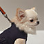 Dog raincoat, XS and S, View: Worn, worn, view 3 of 3