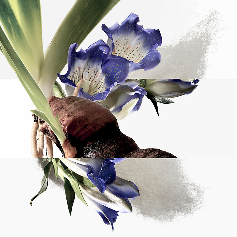 Eau de gentiane blanche 오 드 코롱, 보기: , 3개 중 3번째 보기