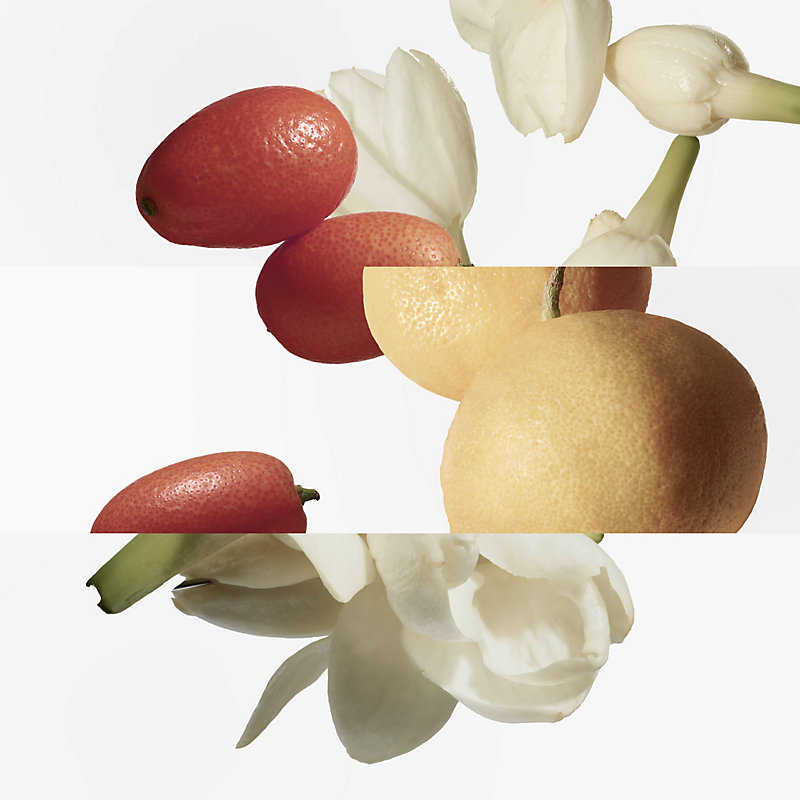 Eau de toilette Le Jardin de Monsieur Li - 50 ml | Hermès Brasil