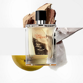 TERRE HERMÈS D'HERMÈS Amazon.com.br | Hermes 100Ml, Edt D'Hermes Terre Perfume Toile100ml de Eau 香水(男性用)