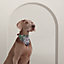 Eperon d'Or dog bandana, large model, View: Worn, worn, view 1 of 4