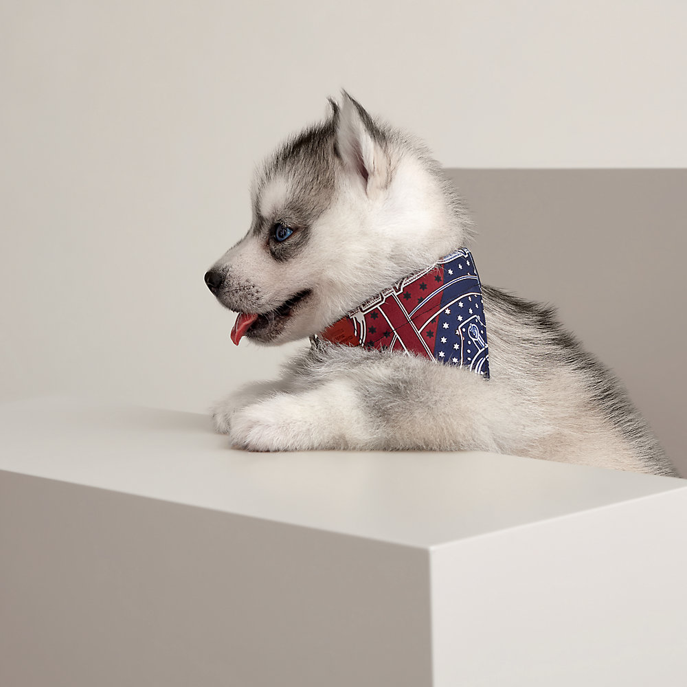 Eperon d'Or dog bandana, very small model Hermès USA