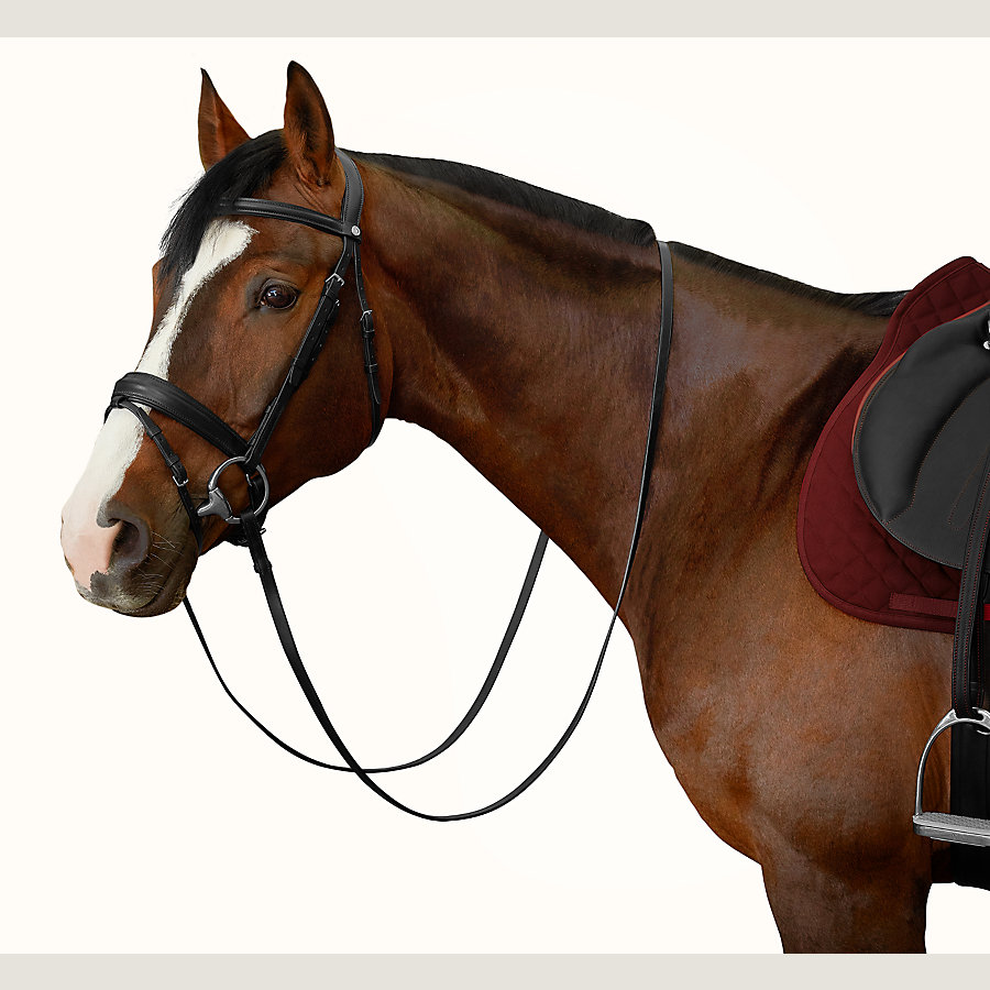 hermes bridle
