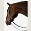 Ergonomic dressage bridle, View: Worn, worn, view 4 of 4