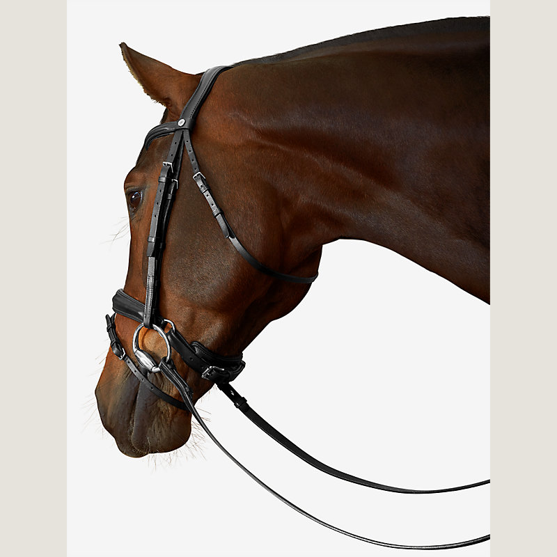 Ergonomic dressage bridle Herm s Netherlands