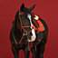 Ergonomic Figure&nbsp;8 Jumper bridle, View: Worn, worn, view 2 of 2