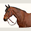 Ergonomic Hunter/Jumper bridle, View: Worn, worn, view 1 of 2