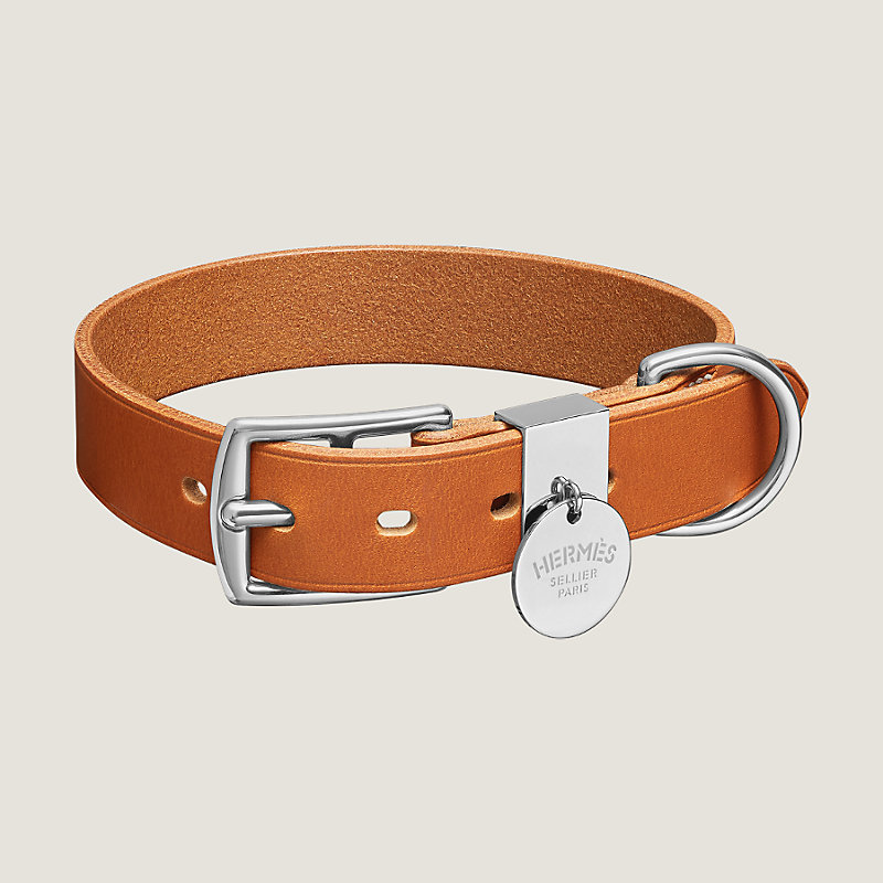 Orange Dog Collar with Light Brown Leather + Multicolor Tan Stitching