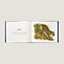 "Ferocious and Fragile" book, English version, View: above, above, view 4 of 5