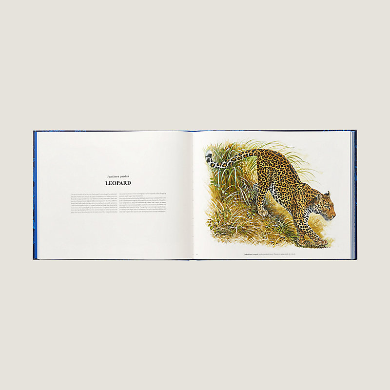 "Ferocious and Fragile" book, English version