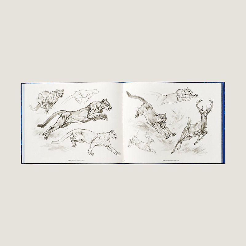 "Ferocious and Fragile" book, English version