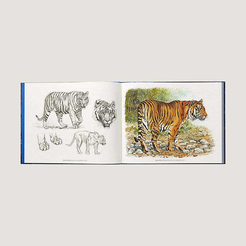 "Ferocious and Fragile" book, English version