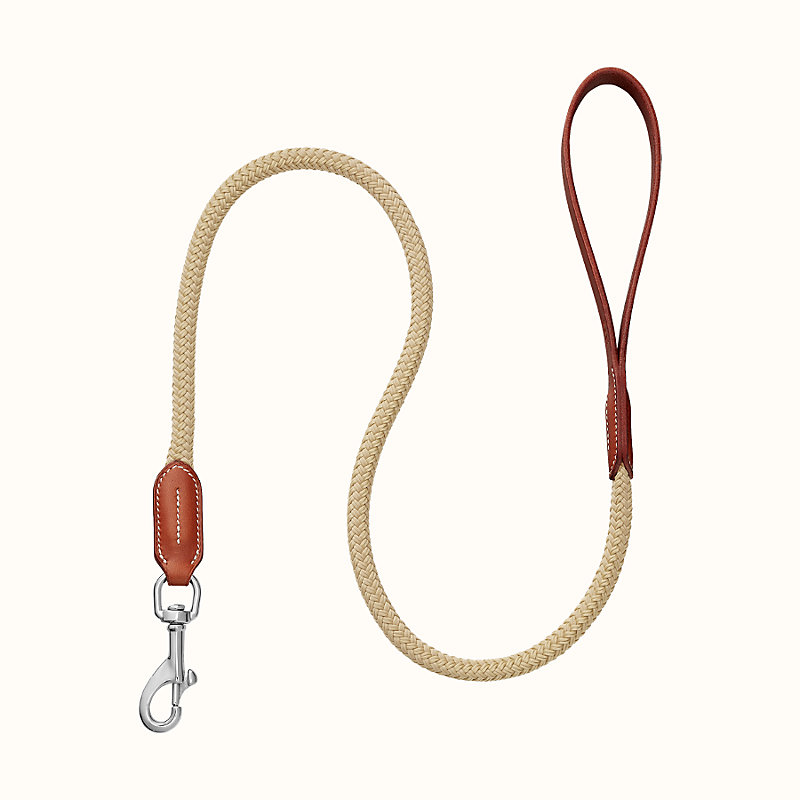 horse leash for dogs