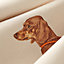 Gavroche 45 Les Bassets, Vue: Vue détaillée, detail, vue 3 sur 3