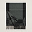 H Passant scarf, View: Folded, folded, view 1 of 2
