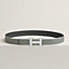 H Striee belt buckle & Stripes reversible band 32&nbsp;mm, View: , view 1 of 2