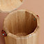 Horse treat box, View: above, above, view 5 of 7