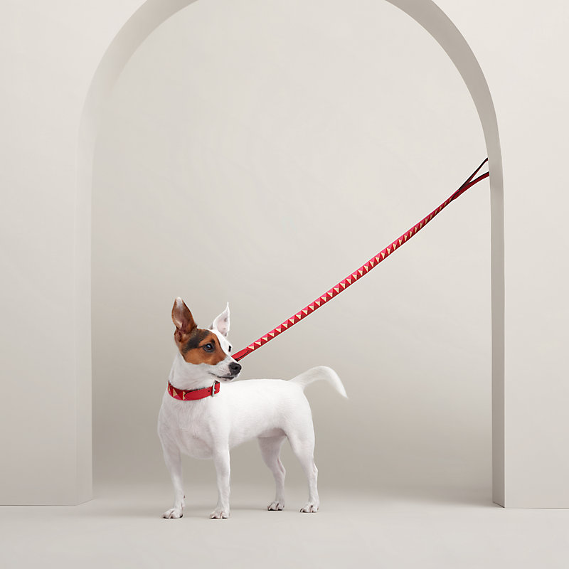 Hundeleine Médor | Hermès Deutschland