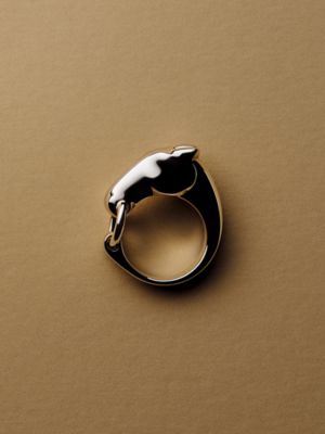 The equestrian