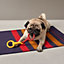 Jouet Mors-Dillon pour chien, Vue: Vue portée, worn, vue 1 sur 3