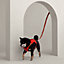 Jump dog harness, M and L, View: Worn, worn, view 4 of 6