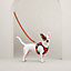 Jump dog harness, M and L, View: Worn, worn, view 5 of 6