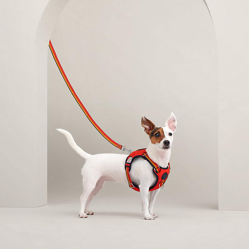 Jump dog harness, M and L