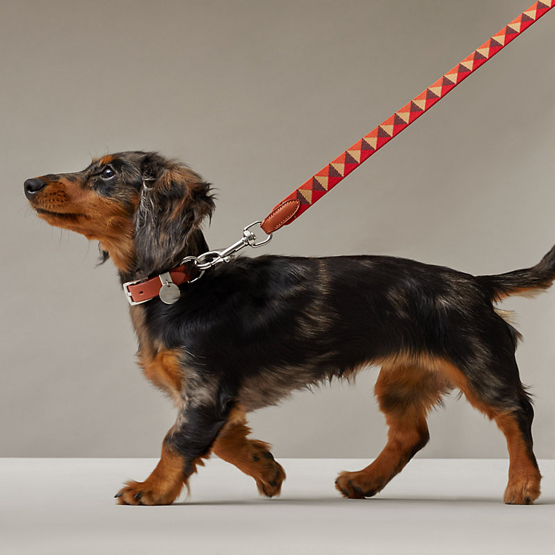 Laisse pour chien Médor slim | Hermès Canada