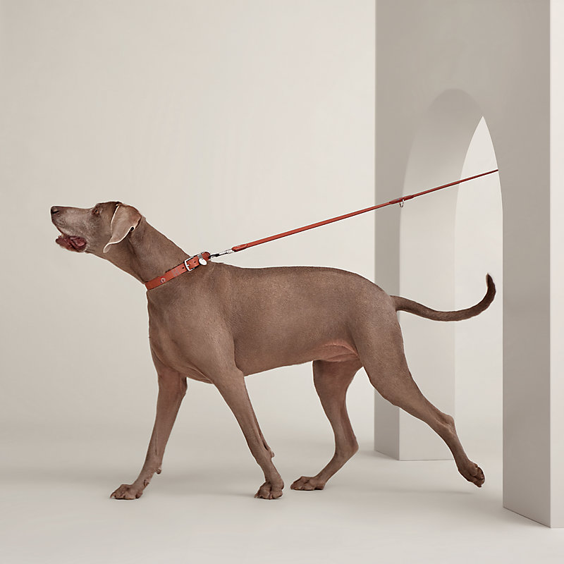 Hermès – Laisse pour chien vintage laisse pour chien hermes fermoir kelly en cuir gold