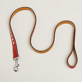 Laisse pour chien Tressée | Hermès France