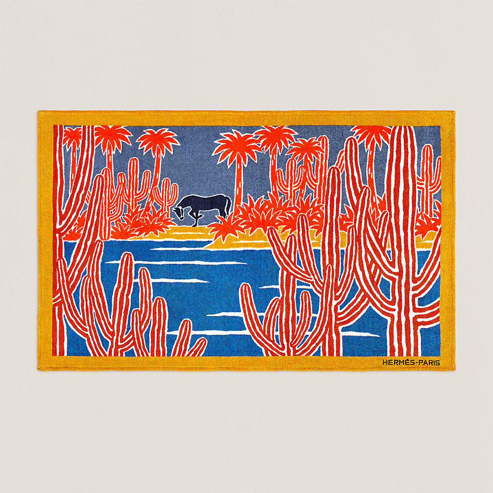 hermes beach towel