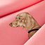 Les Bassets 스카프 45, 보기: 세부 사진, detail, 3개 중 3번째 보기