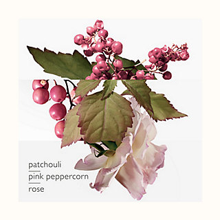 hermes charming twilly