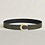 Luck belt buckle & Reversible leather strap 38 mm, view 1 of 3