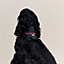 Maillons dog bandana, L, View: Worn, worn, view 1 of 4