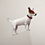 Medor dog collar, View: Worn, worn, view 1 of 2