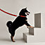 Medor dog leash, View: Worn, worn, view 1 of 2