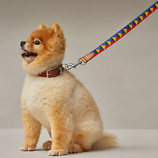 hermes leash