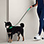 Medor slim dog leash, View: Worn, worn, view 1 of 3