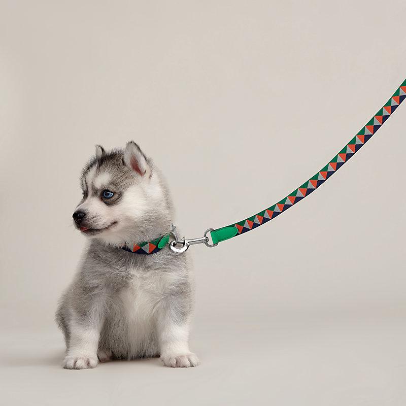 Medor slim dog leash
