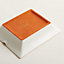 Mountain Zebra ashtray, View: Detail, detail, view 4 of 4