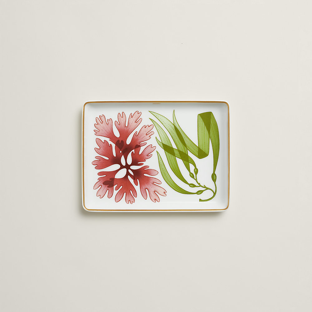 natures-marines-small-tray--