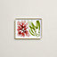 Natures Marines small tray, View: above, above, view 1 of 3